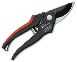 Pruning Shears