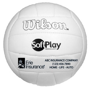 Wilson Volleyball