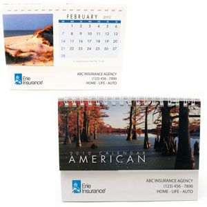 2010 - American Splenor Desk Calendar